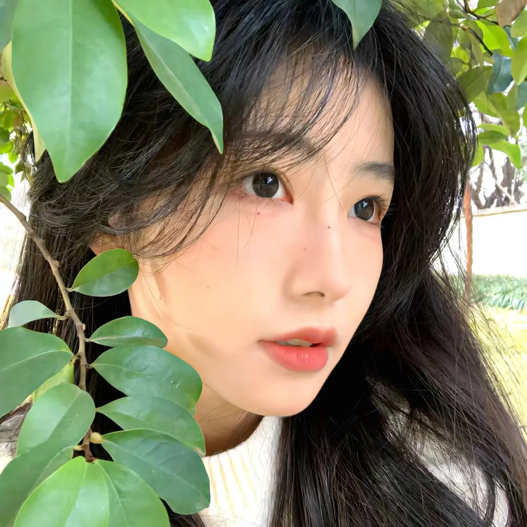 爱在飞